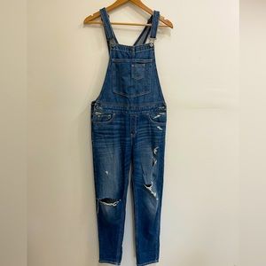 Hollister Med Skinny Denim Distressed Overalls